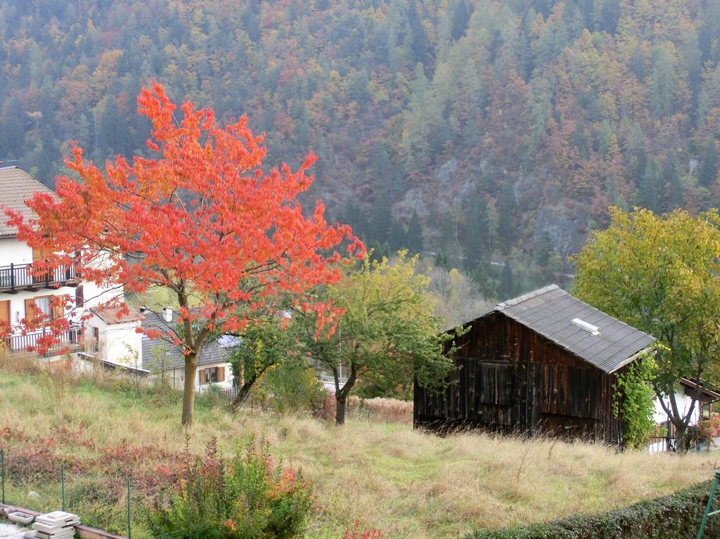 Hotel Belvedere Wellness & Family Baselga di Pinè Dış mekan fotoğraf